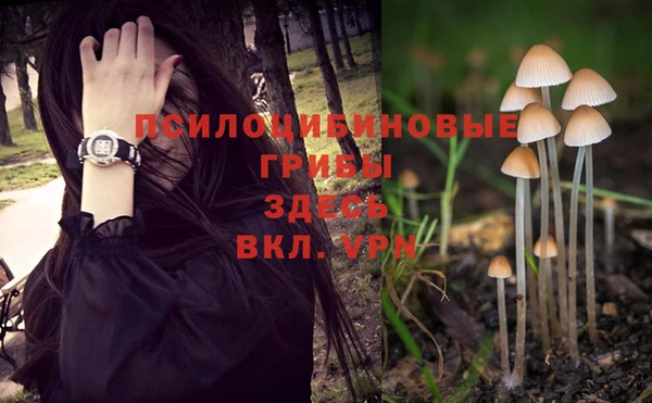 таблы Абаза
