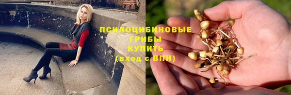 МДПВ Абинск