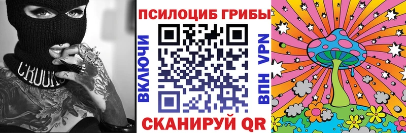 Псилоцибиновые грибы Psilocybe купить закладку Дубовка